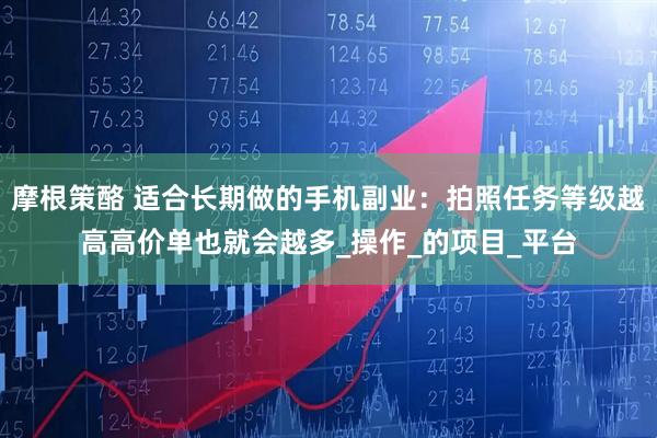摩根策酪 适合长期做的手机副业:拍照任务等级越高高价单也就会越多_操作_的项目_平台