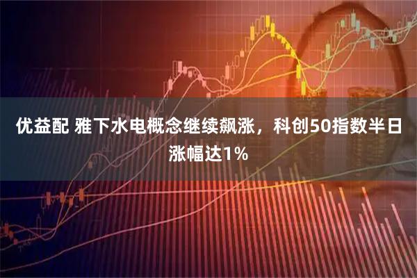 优益配 雅下水电概念继续飙涨,科创50指数半日涨幅达1%