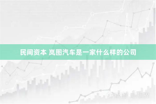 民间资本 岚图汽车是一家什么样的公司
