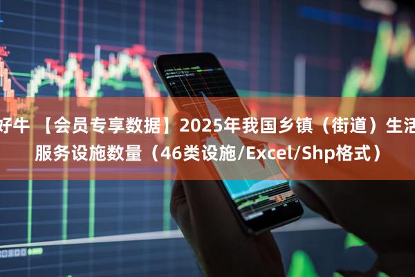 好牛 【会员专享数据】2025年我国乡镇（街道）生活服务设施数量（46类设施/Excel/Shp格式）