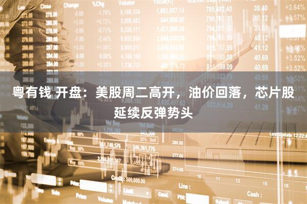 粤有钱 开盘：美股周二高开，油价回落，芯片股延续反弹势头