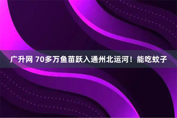 广升网 70多万鱼苗跃入通州北运河！能吃蚊子